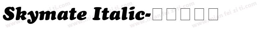 Skymate Italic字体转换